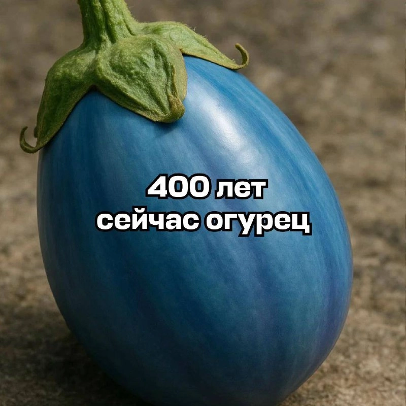 Аааа, в сети новый страннейший тренд с диким огурцом (и сюда, конечно же, успел вписаться Авиасейлс). Его невозможно объяснить, он даже хуже брейнрот-животных | Сетка — социальная сеть от hh.ru