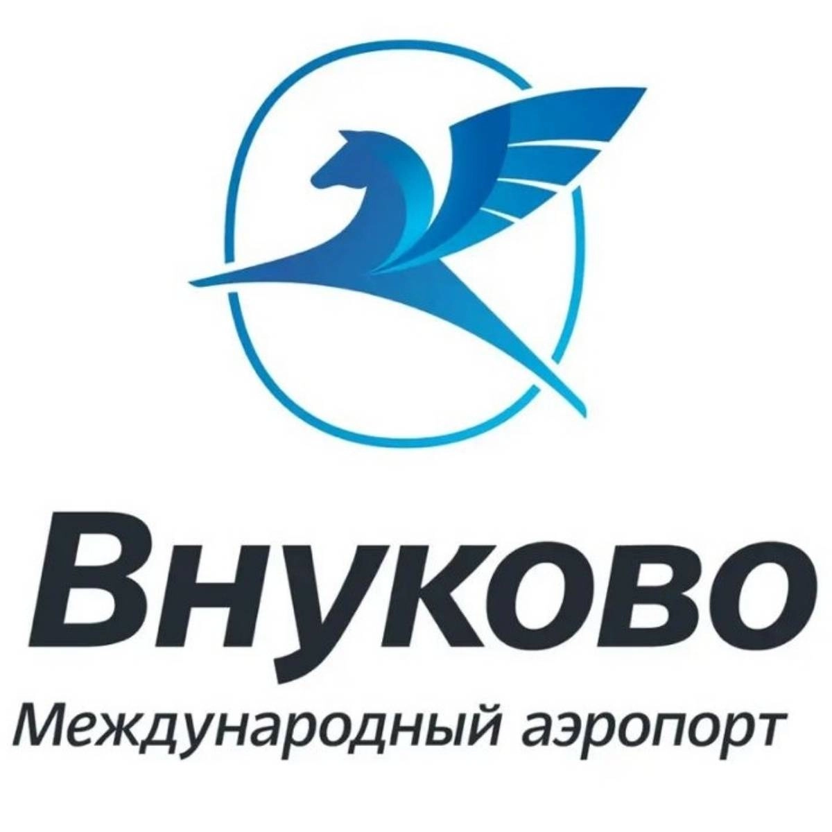Ирина Хван | Сетка — социальная сеть от hh.ru