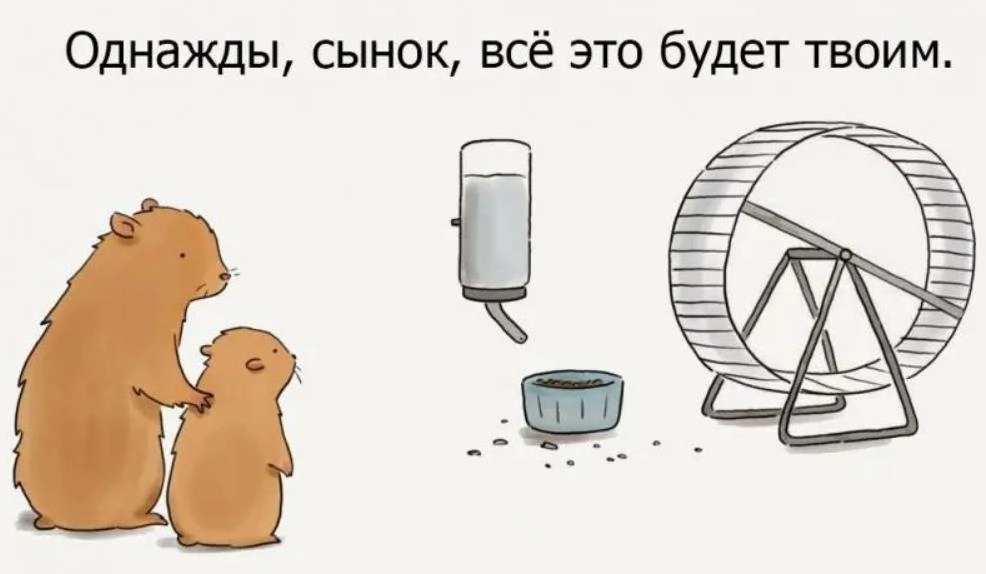 Тело человека создано для ЖИЗНИ! | Сетка — социальная сеть от hh.ru
