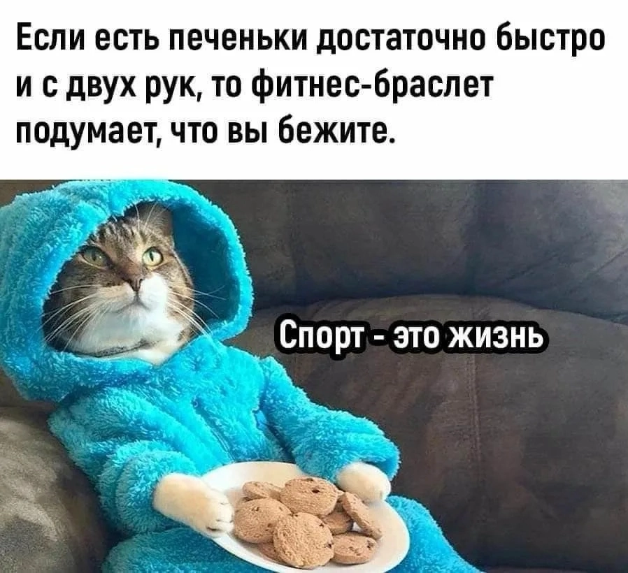 Сетка — социальная сеть от hh.ru