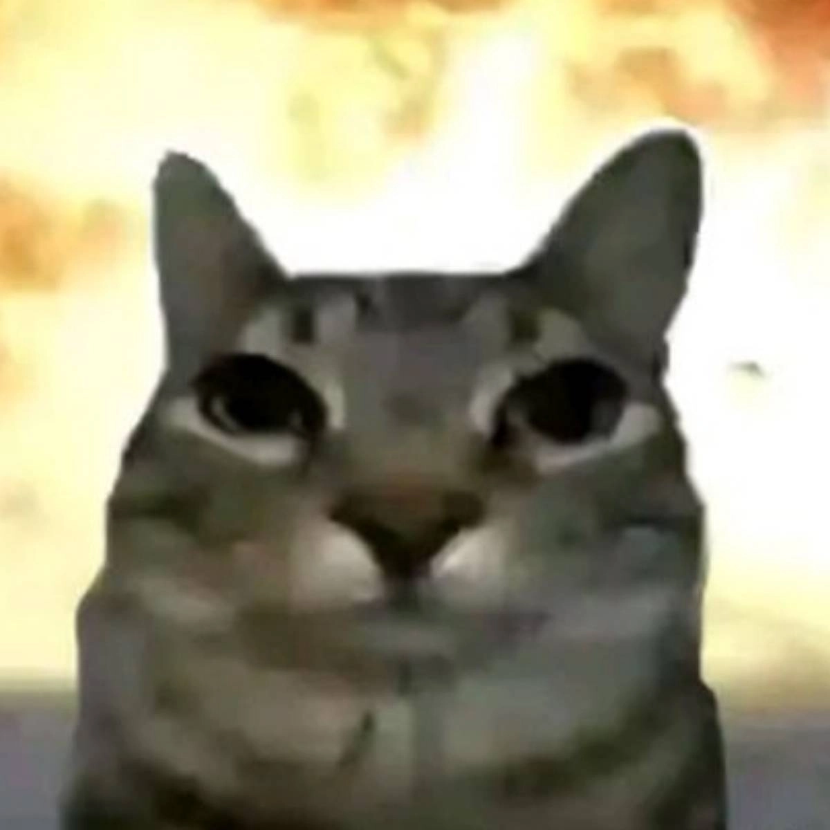 Фима Лисов | Сетка — социальная сеть от hh.ru