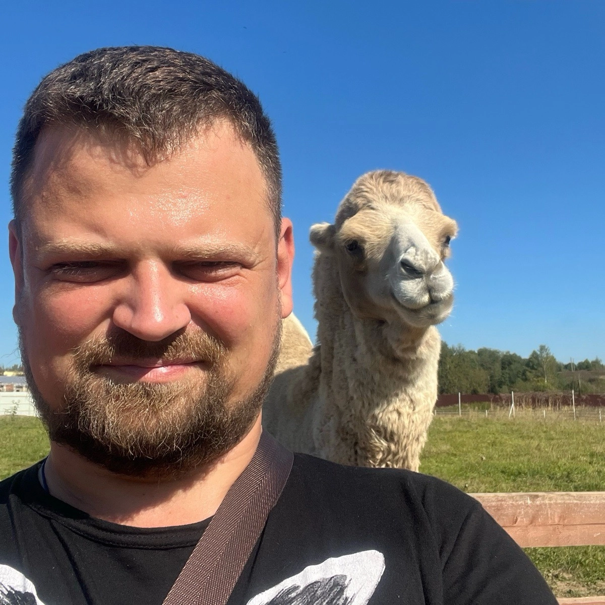 Михаил Плясов