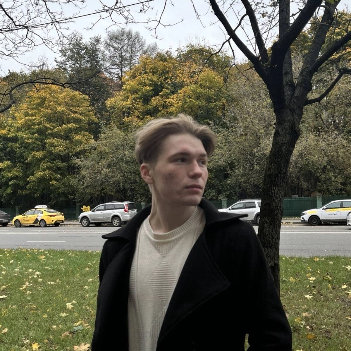 profile avatar