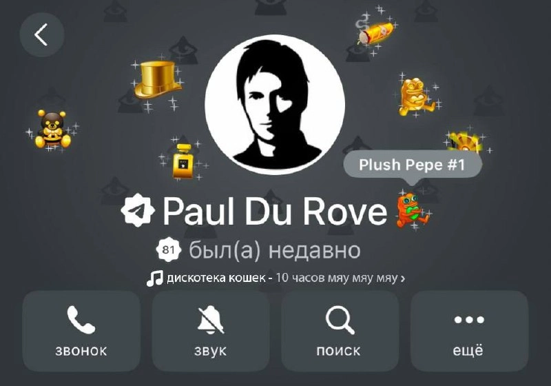 Telegram тестирует функцию, которая позволит добавлять музыку прямо в профиль 😍
MarketplacePortals добавили премаркет для торговли подарками, которые ещё нельзя передавать, в течении 21 дня после улуч... | Сетка — социальная сеть от hh.ru