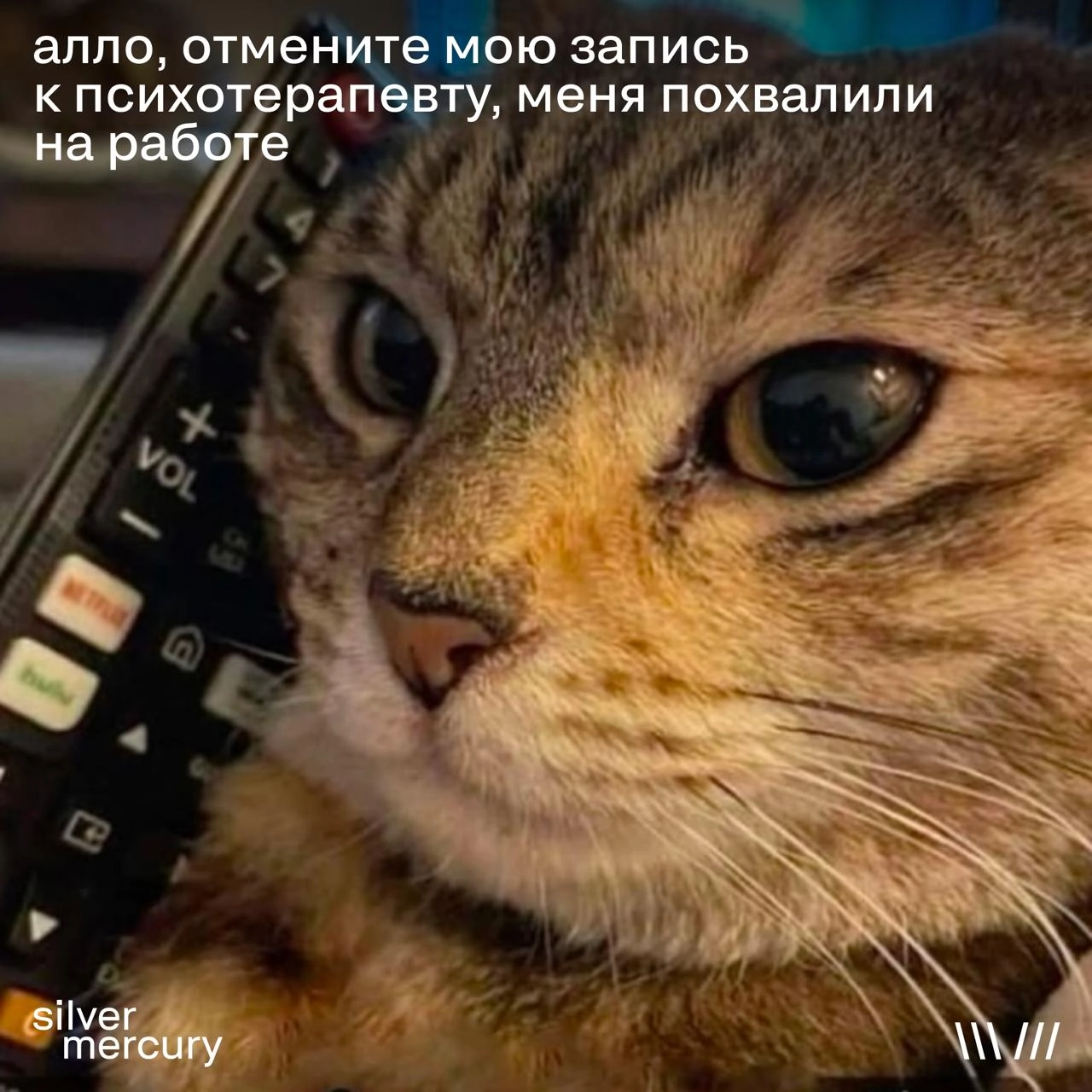 Мы чуть не пропустили самое важное...
День кино — это замечательно, но вы знали, что сегодня еще и день мемов? В общем, ни слова больше: подборка лучших специально для вас 🥰 | Сетка — социальная сеть от hh.ru