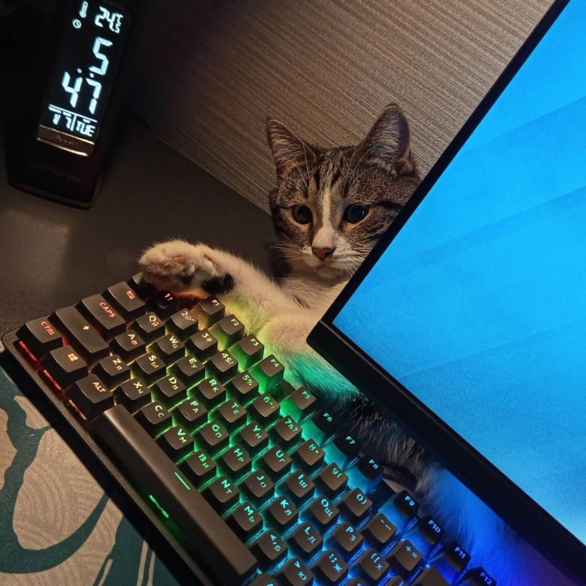 Subscriber avatar
