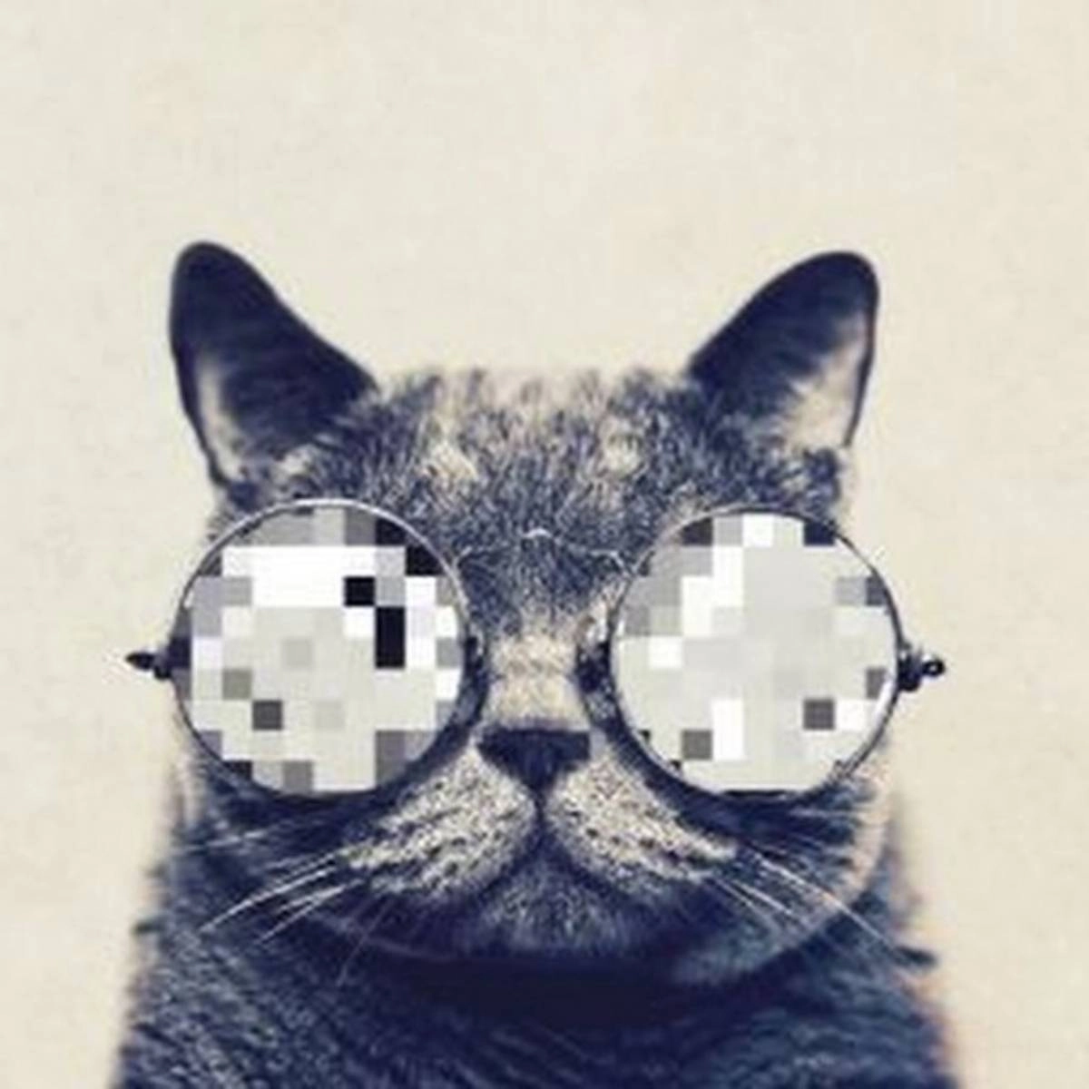 Subscriber avatar