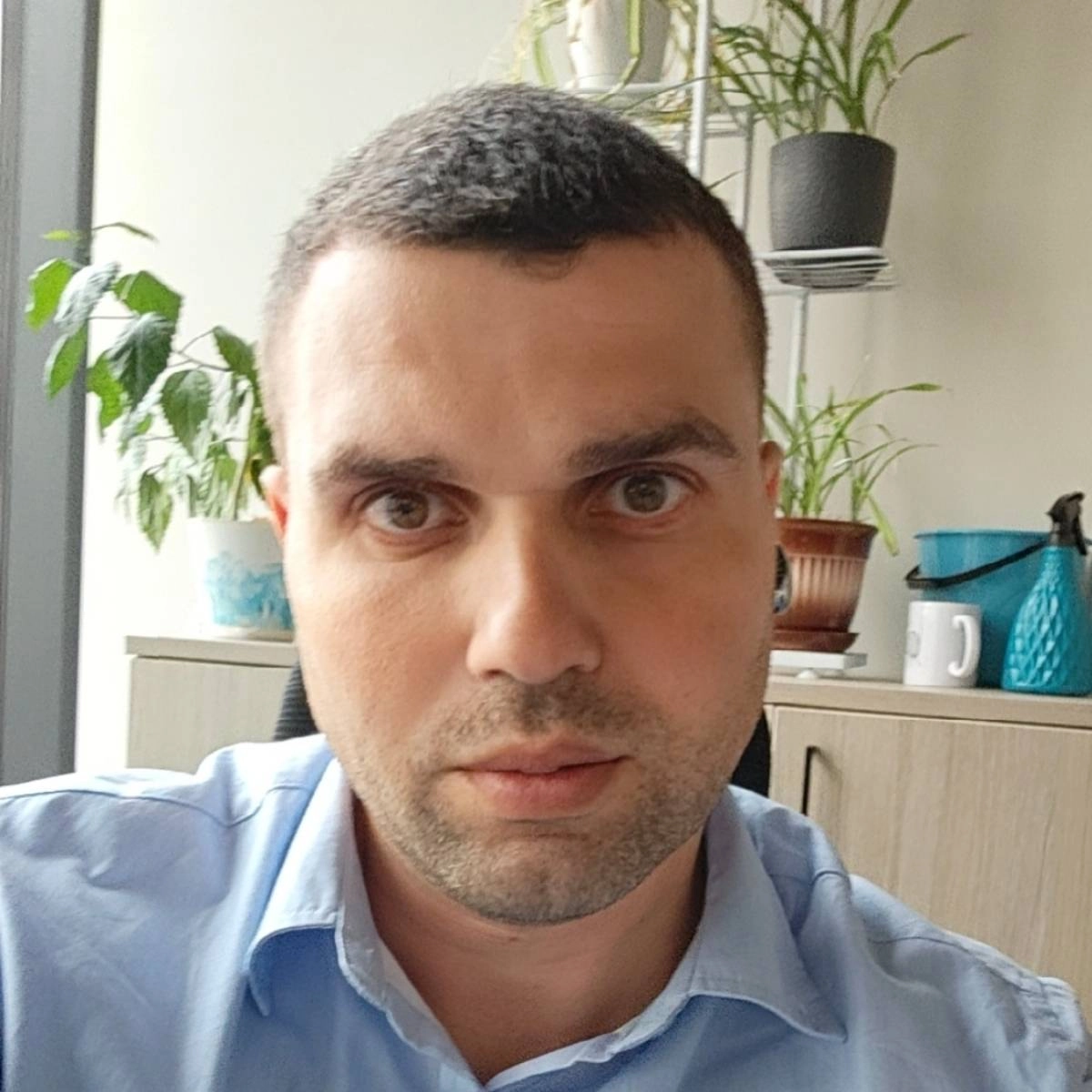 Network member avatar