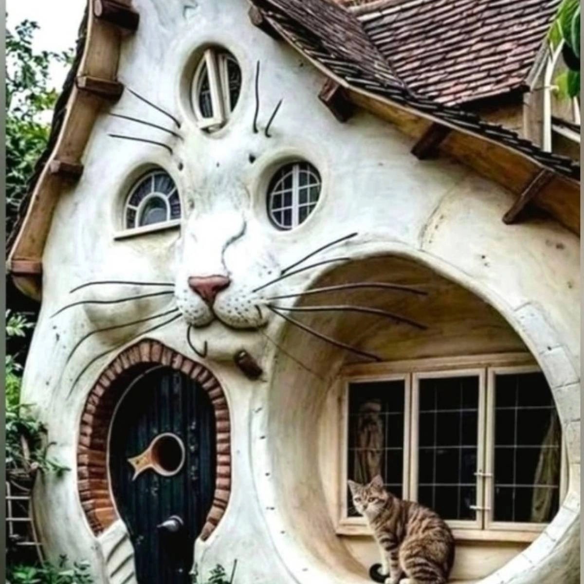 Алексей Лысенко