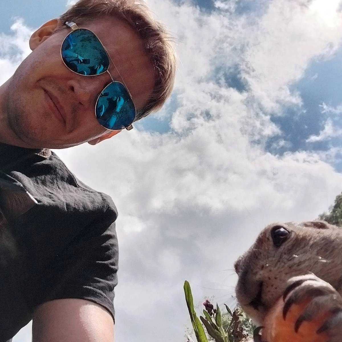 Network member avatar