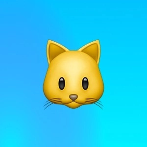 Илья Ерыкалин | Сетка — социальная сеть от hh.ru