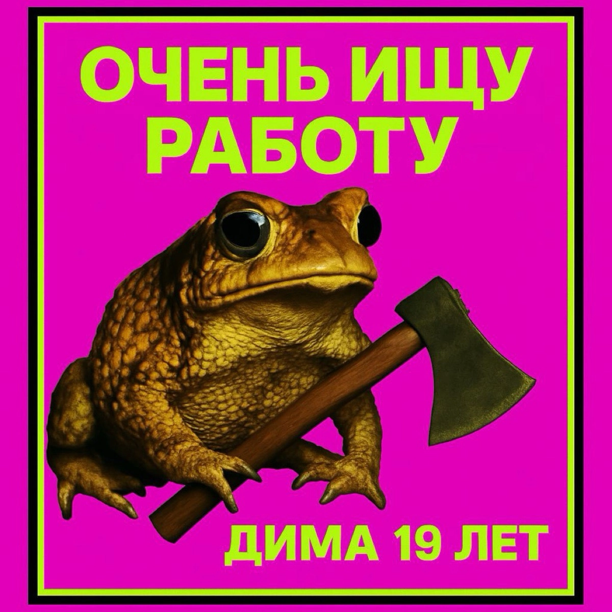 Гречишников Дмитрий | Сетка — социальная сеть от hh.ru