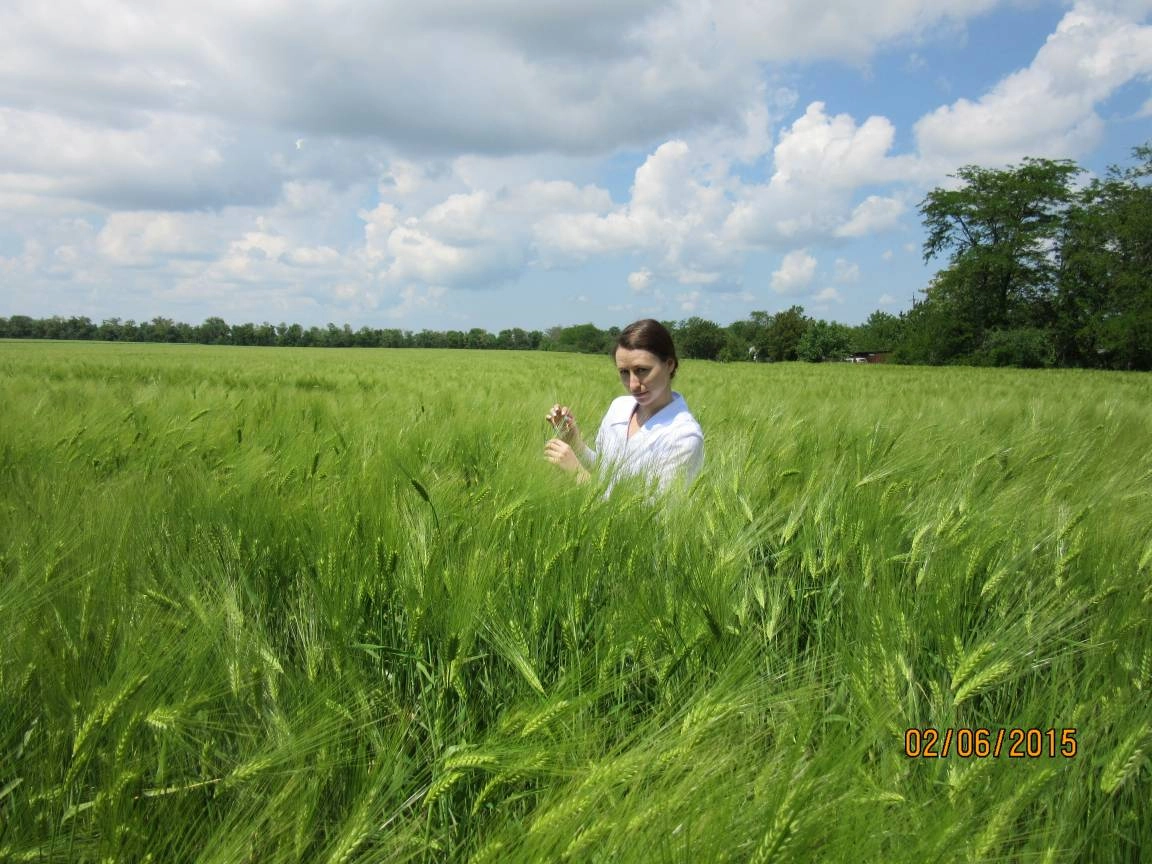 Анна Реутина