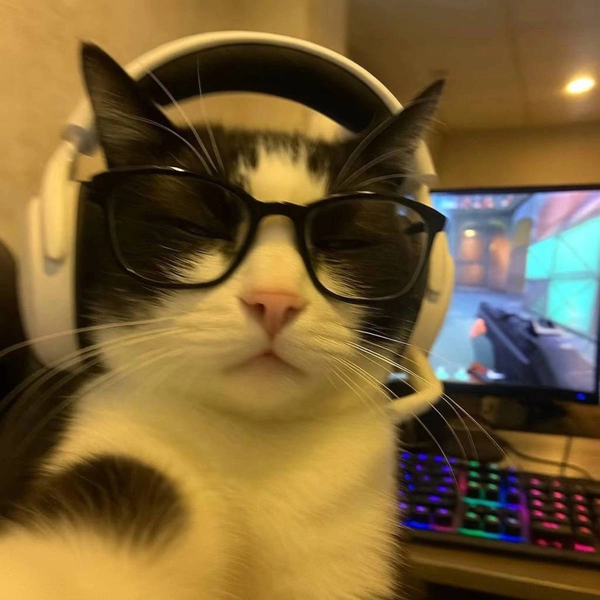 Rostislav Ddd | Сетка — социальная сеть от hh.ru