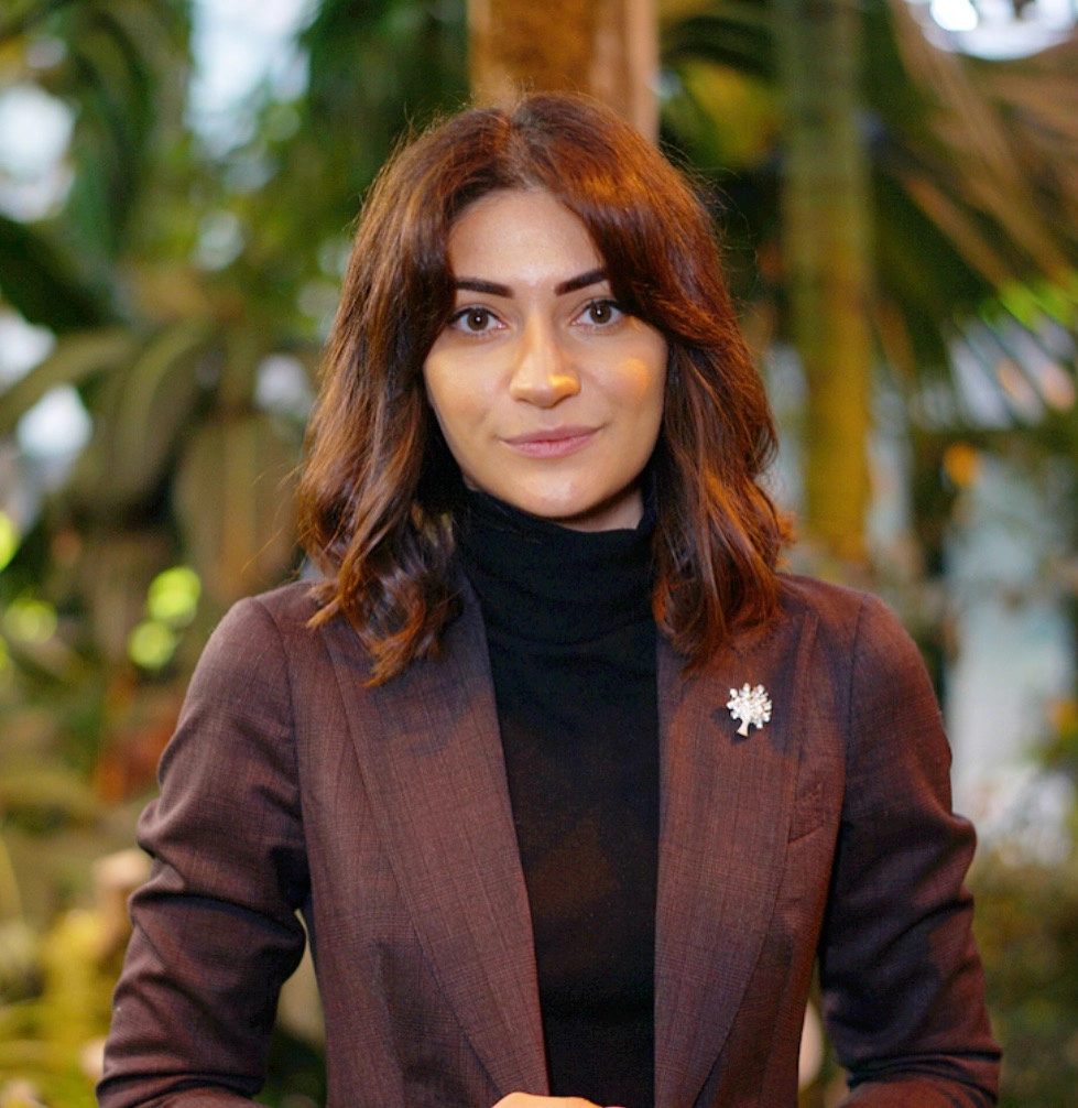 Варсик Оганисян | Сетка — социальная сеть от hh.ru