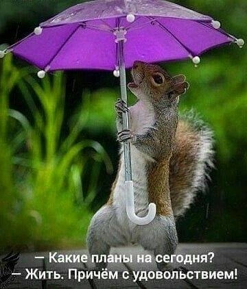 Татьяна Ручкина