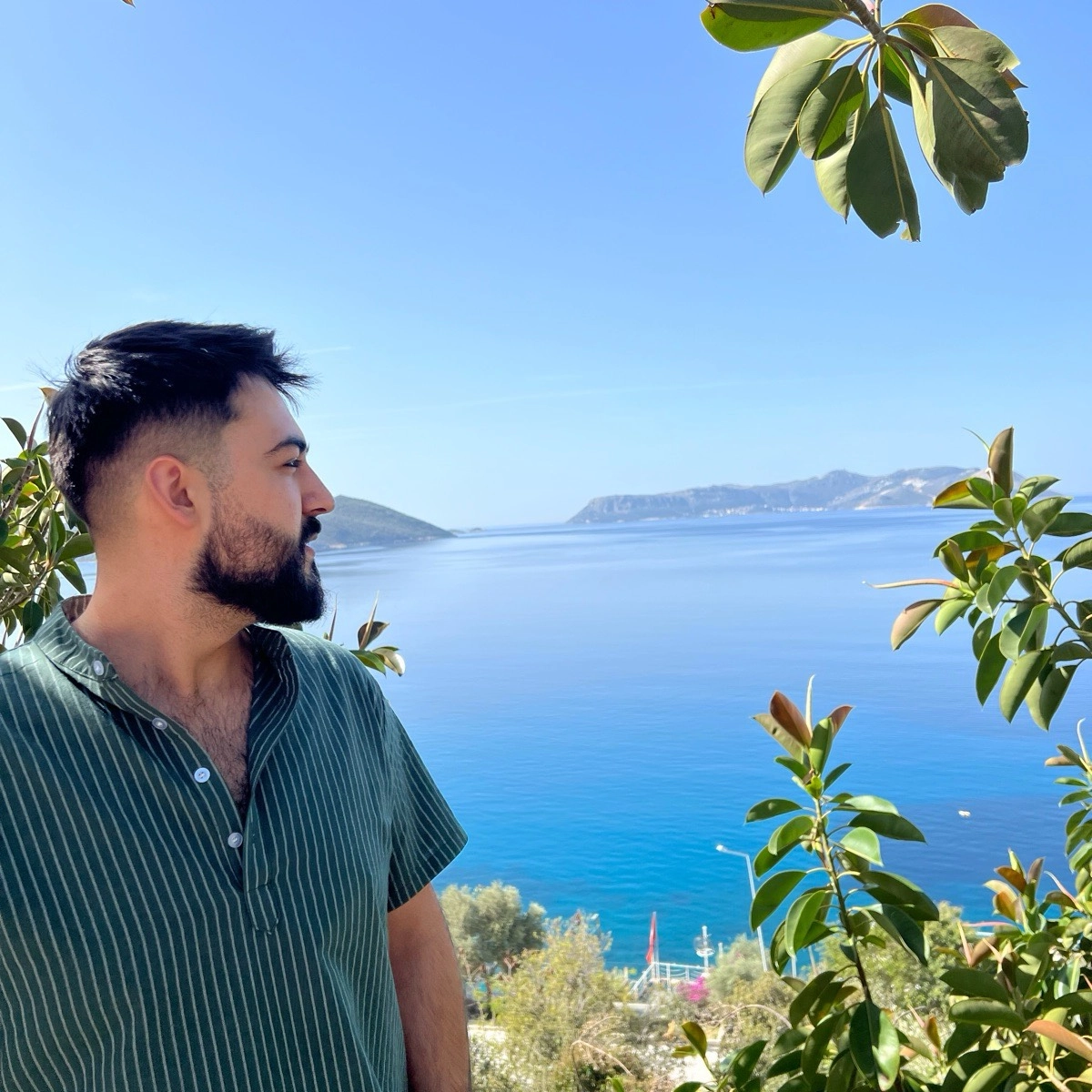 Network member avatar