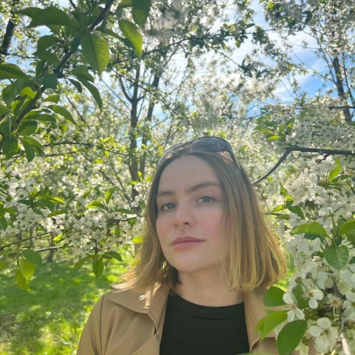 Network member avatar