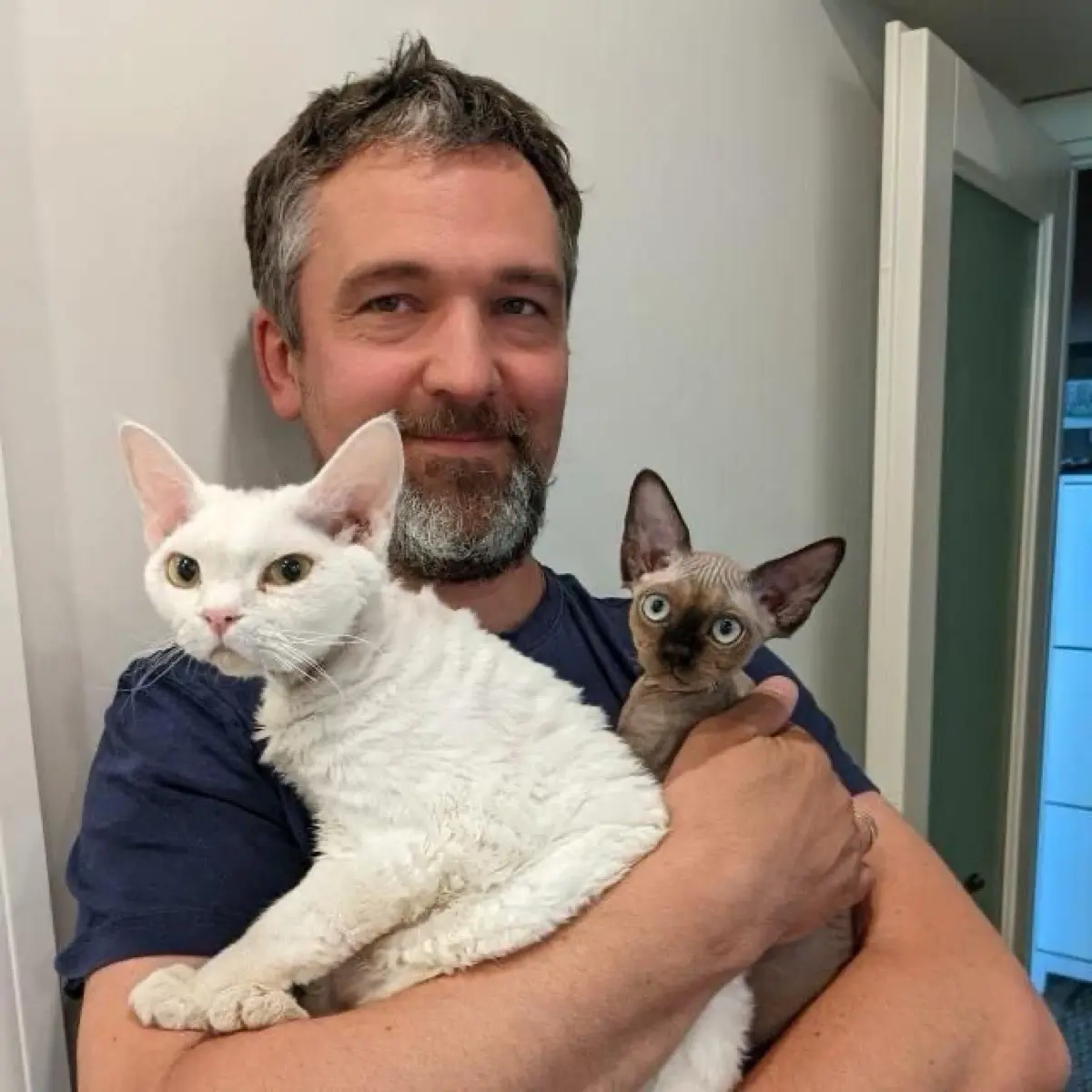 Алексей Колесников | Сетка — социальная сеть от hh.ru