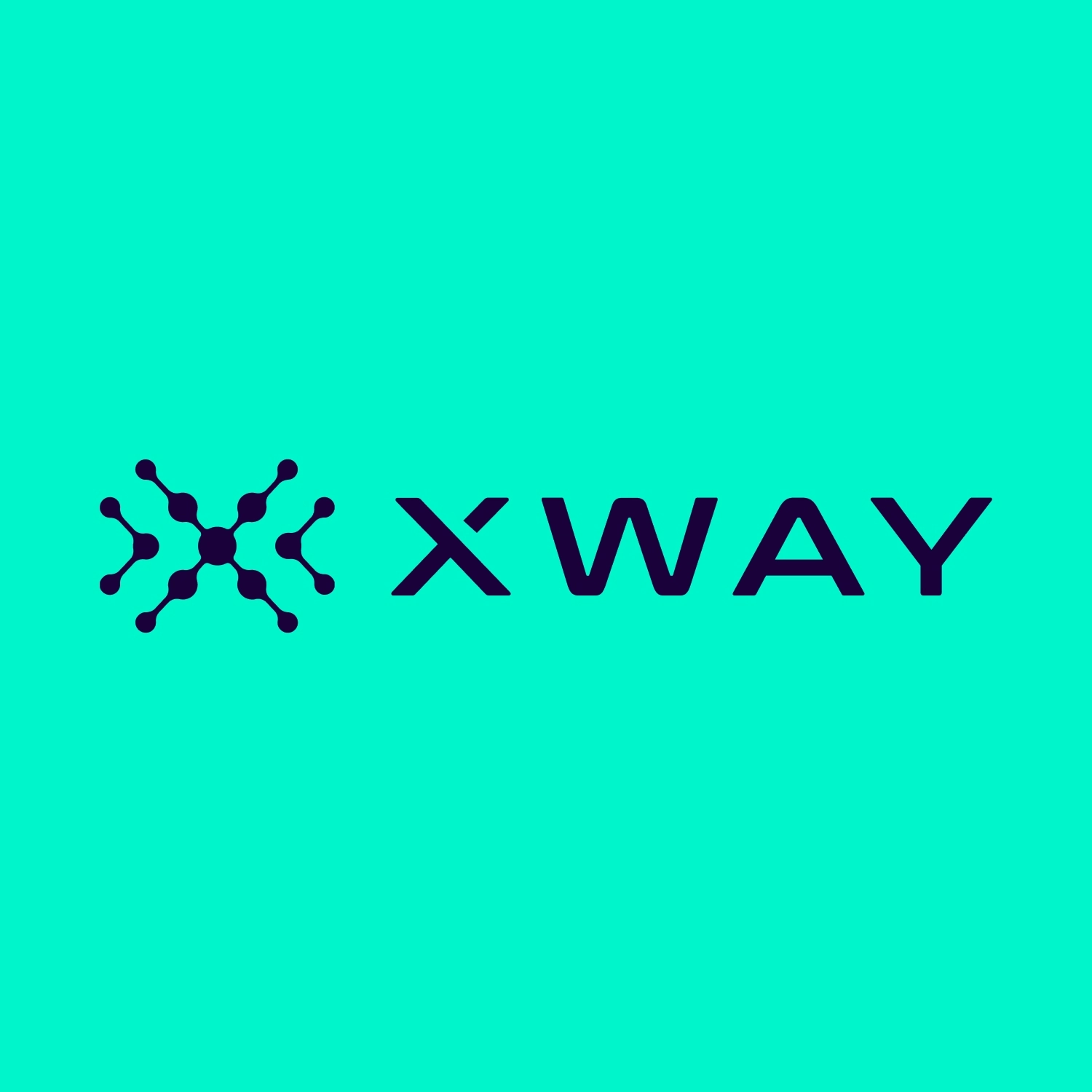 company logo
