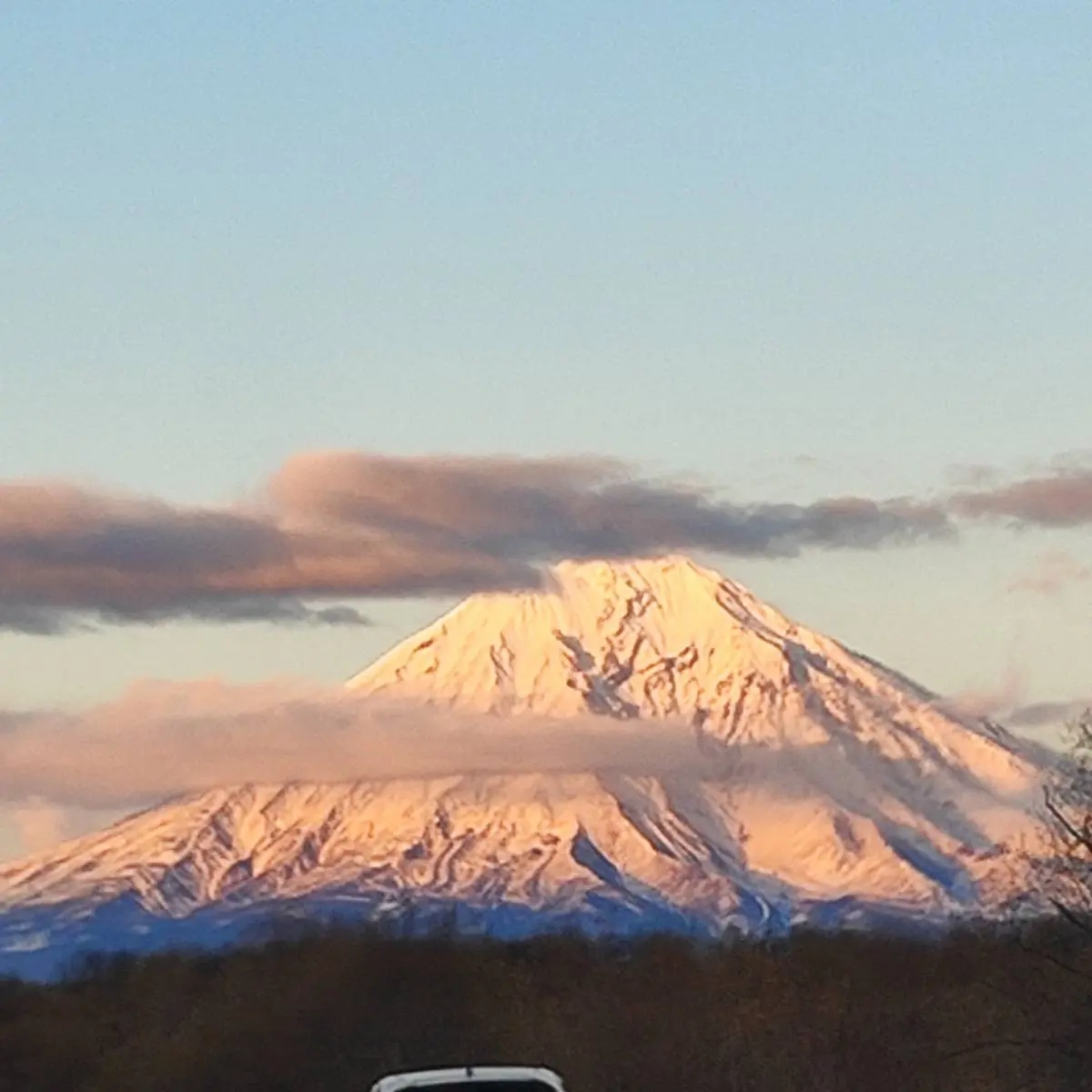 Владимир Пкрвых