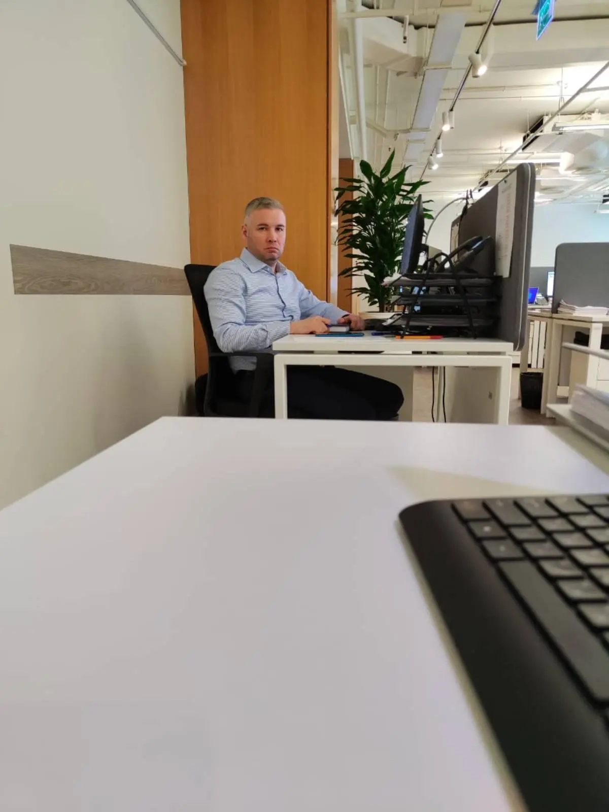 Network member avatar