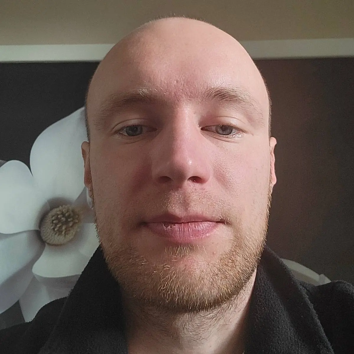 Кирилл Николаенко | Сетка — социальная сеть от hh.ru