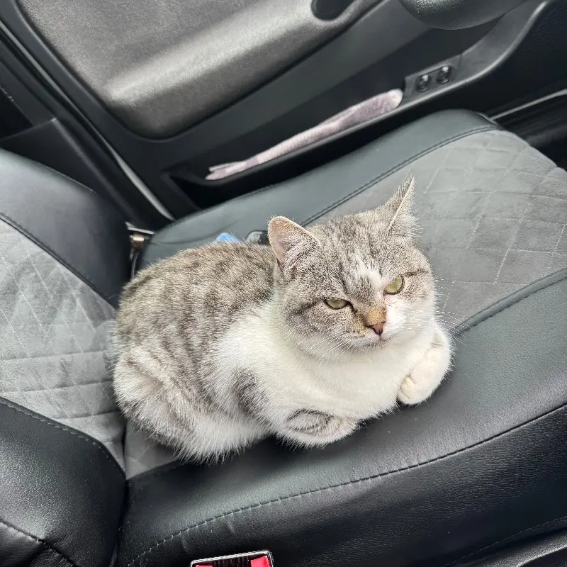 Вадим Шапошников | Сетка — социальная сеть от hh.ru