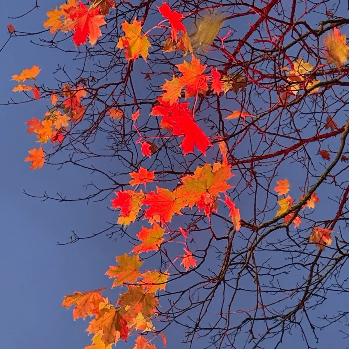 Катерина Касаткина | Сетка — социальная сеть от hh.ru