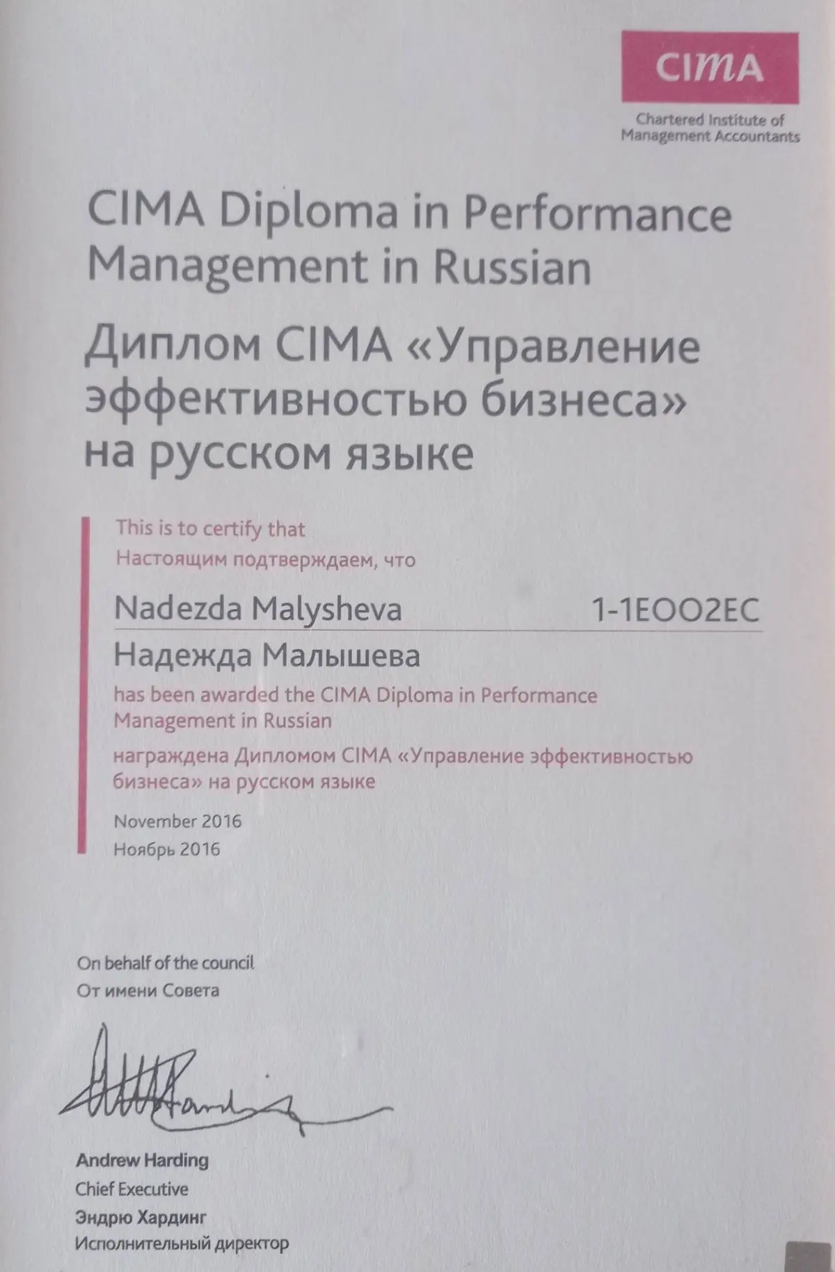 Network member avatar