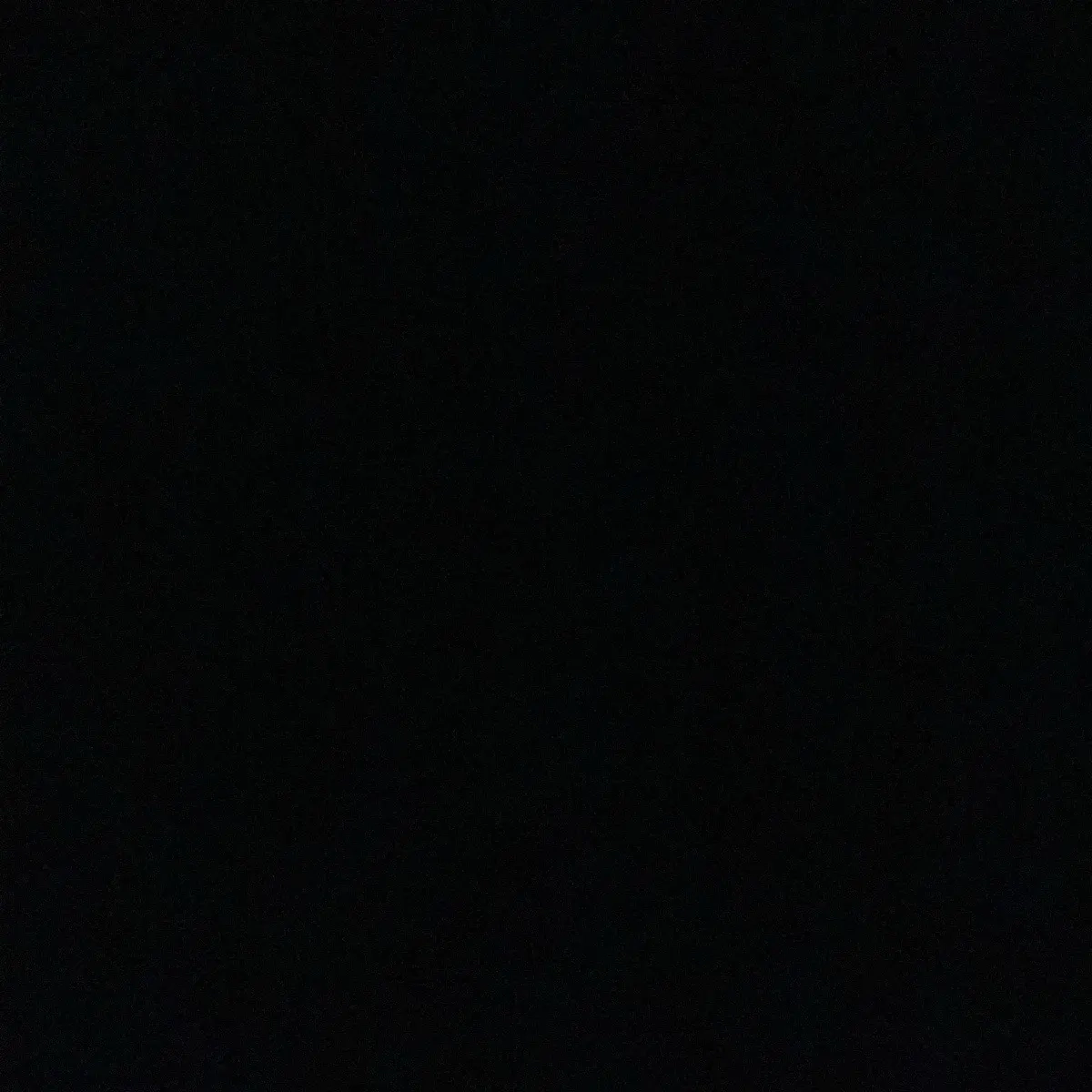 Рауль Зоидзе