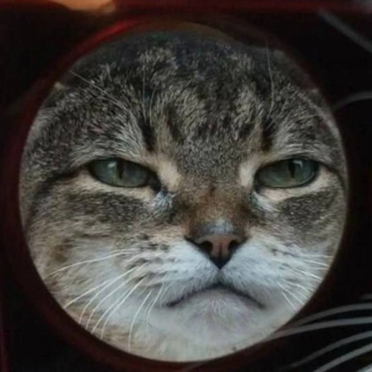 Лилия Иксанова