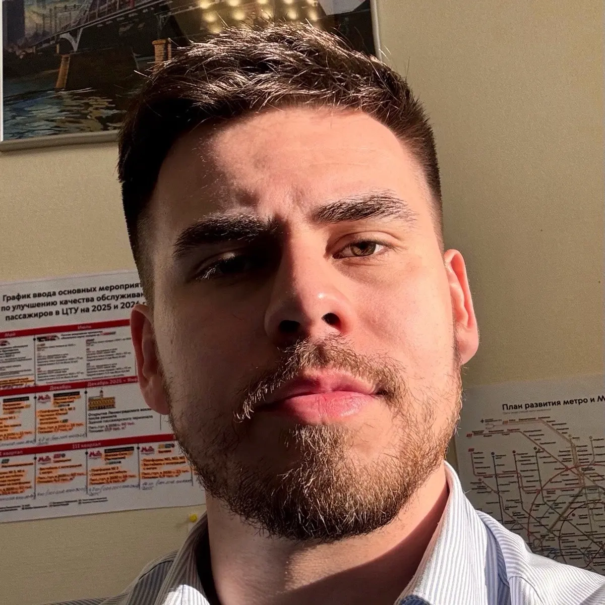 Network member avatar