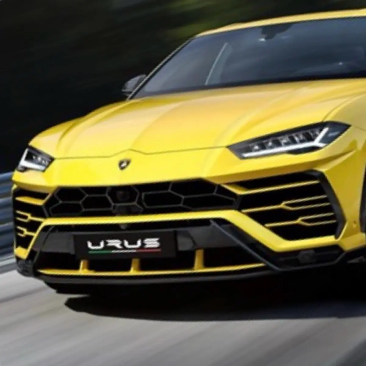 Lyalya Urus | Сетка — социальная сеть от hh.ru