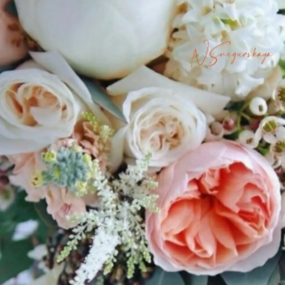 Вета Красова