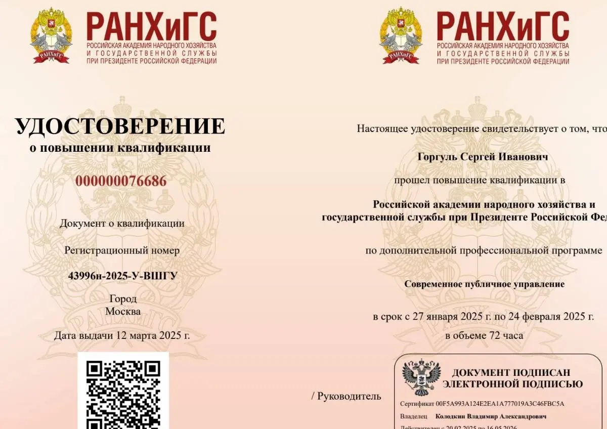 Network member avatar