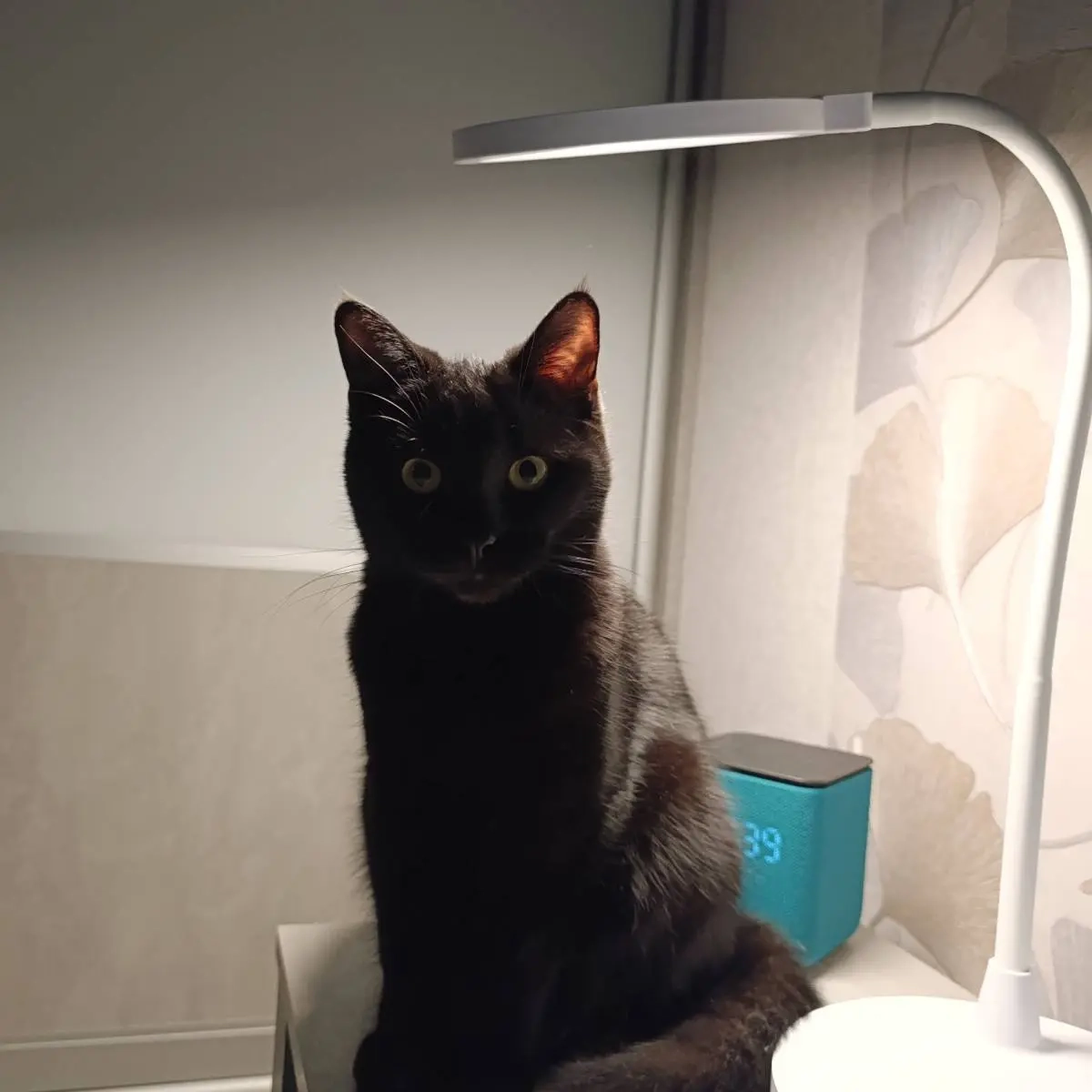 Наталья Smk | Сетка — социальная сеть от hh.ru