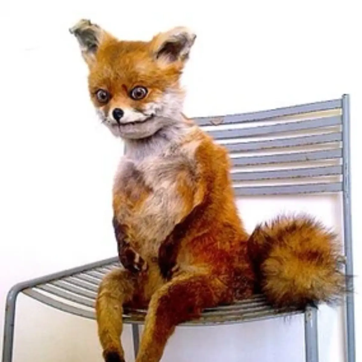 Tatiana Anisimova | Сетка — социальная сеть от hh.ru