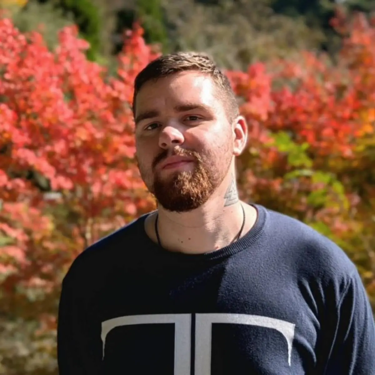 Aleksandr Negreev | Сетка — социальная сеть от hh.ru