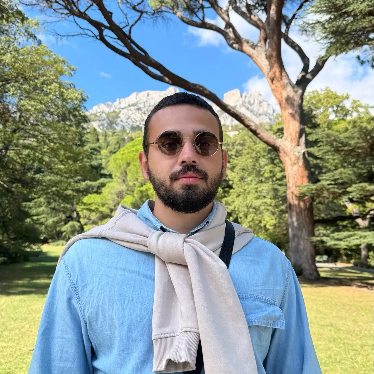 Network member avatar