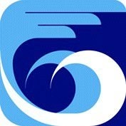 company logo